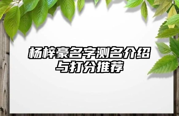 杨梓豪名字测名介绍与打分推荐