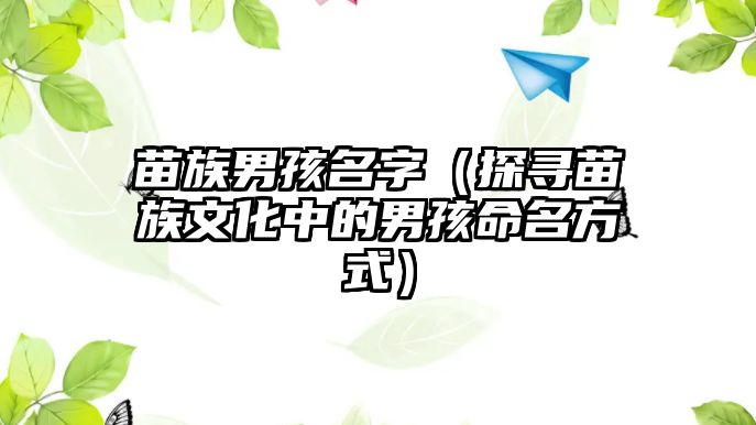 苗族男孩名字（探寻苗族文化中的男孩命名方式）