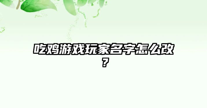 吃鸡游戏玩家名字怎么改？