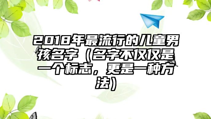 2018年最流行的儿童男孩名字（名字不仅仅是一个标志，更是一种方法）