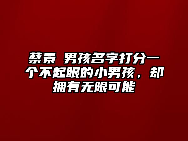 蔡景焜男孩名字打分一个不起眼的小男孩，却拥有无限可能