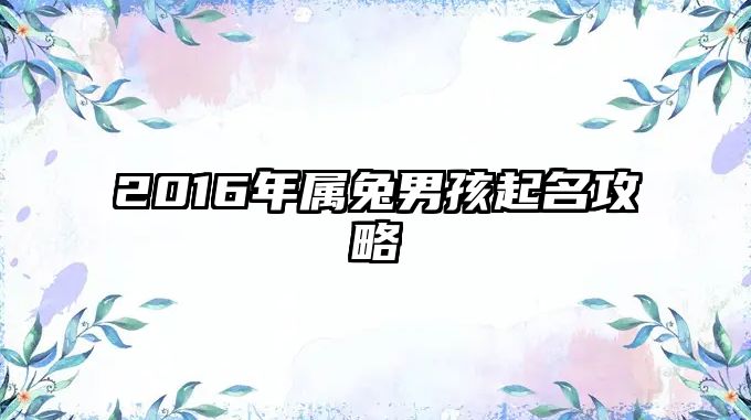 2016年属兔男孩起名攻略