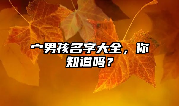 宀男孩名字大全，你知道吗？