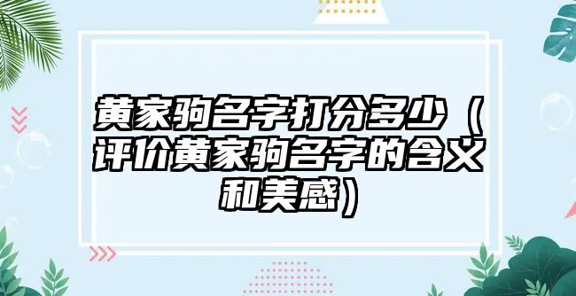 黄家驹名字打分多少（评价黄家驹名字的含义和美感）