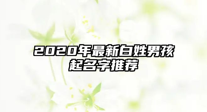 2020年最新白姓男孩起名字推荐