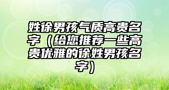 姓徐男孩气质高贵名字（给您推荐一些高贵优雅的徐姓男孩名字）