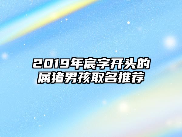 2019年宸字开头的属猪男孩取名推荐