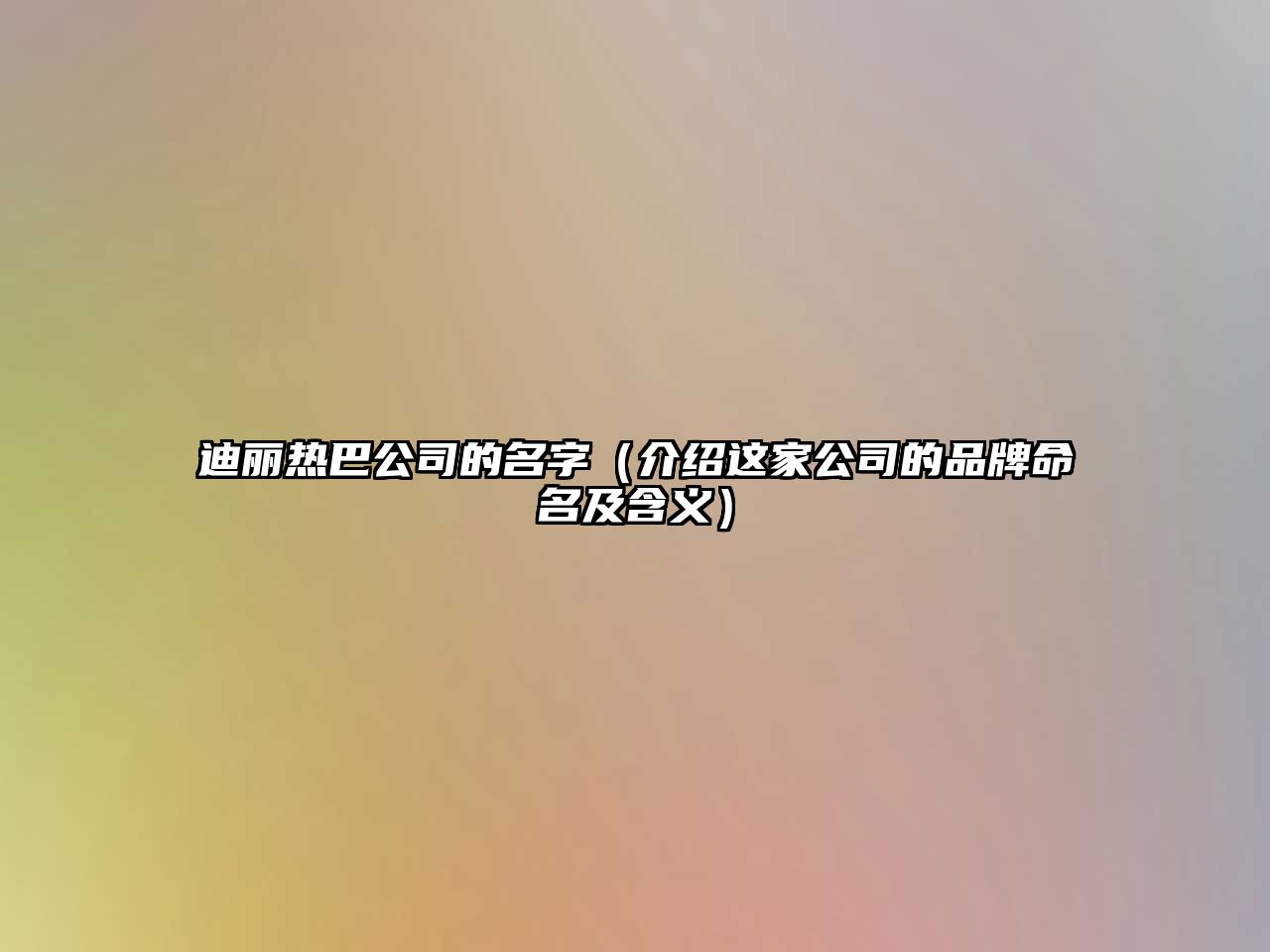 迪丽热巴公司的名字（介绍这家公司的品牌命名及含义）