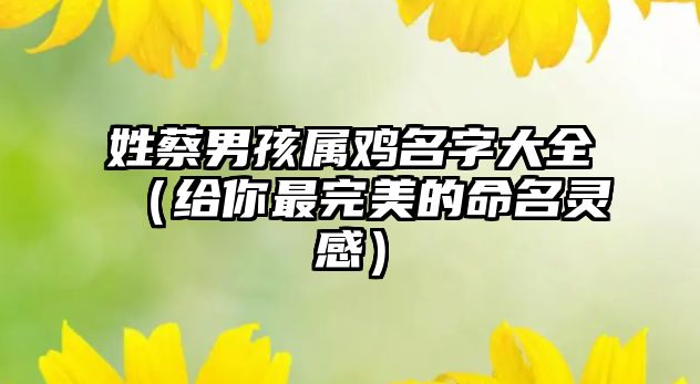 姓蔡男孩属鸡名字大全（给你最完美的命名灵感）