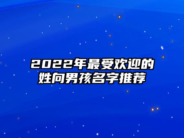 2022年最受欢迎的姓向男孩名字推荐