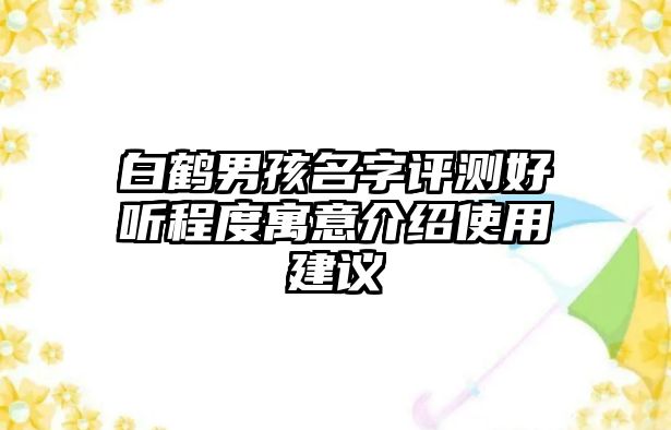 白鹤男孩名字评测好听程度寓意介绍使用建议