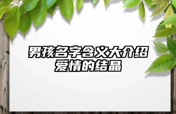 男孩名字含义大介绍爱情的结晶