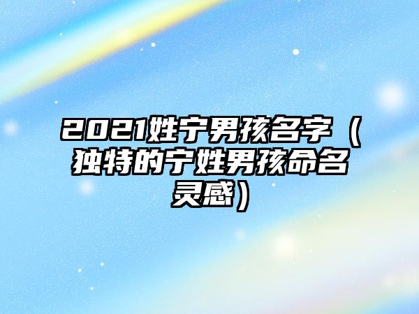 2021姓宁男孩名字（独特的宁姓男孩命名灵感）