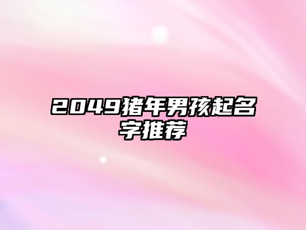 2049猪年男孩起名字推荐