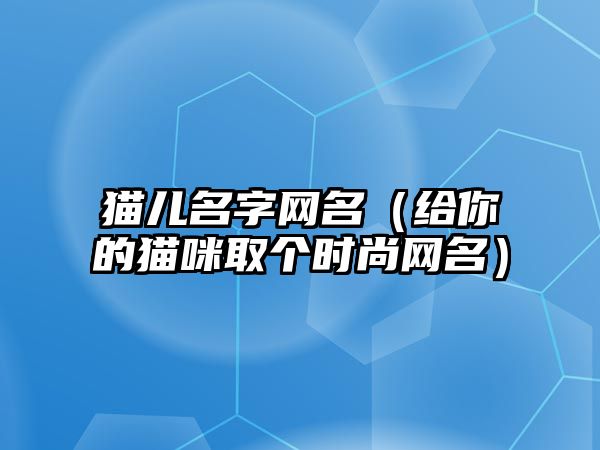 猫儿名字网名（给你的猫咪取个时尚网名）