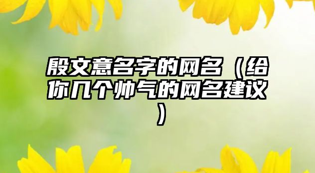 殷文意名字的网名（给你几个帅气的网名建议）