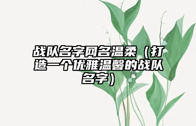 战队名字网名温柔（打造一个优雅温馨的战队名字）