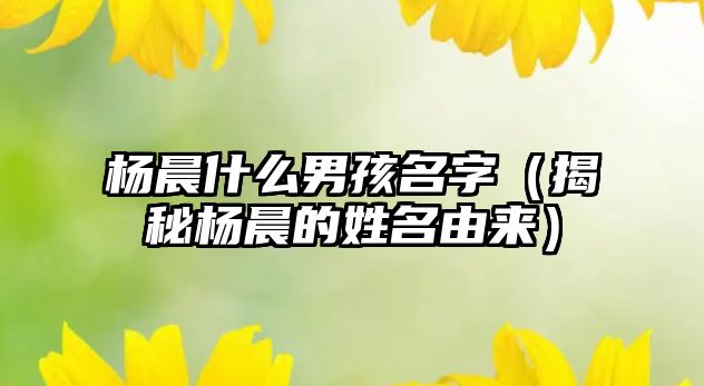 杨晨什么男孩名字（揭秘杨晨的姓名由来）