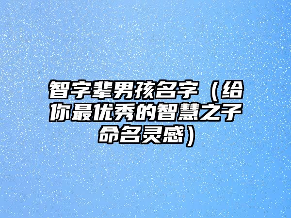 智字辈男孩名字（给你最优秀的智慧之子命名灵感）