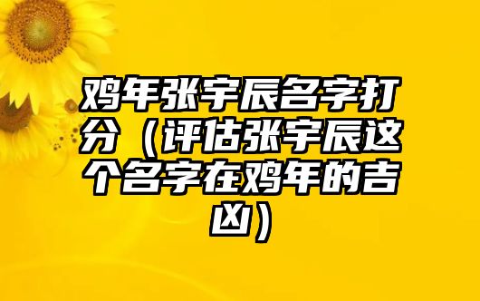 鸡年张宇辰名字打分（评估张宇辰这个名字在鸡年的吉凶）