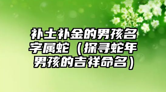 补土补金的男孩名字属蛇（探寻蛇年男孩的吉祥命名）