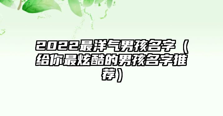 2022最洋气男孩名字（给你最炫酷的男孩名字推荐）