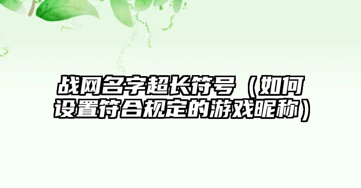 战网名字超长符号（如何设置符合规定的游戏昵称）