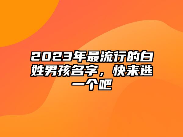 2023年最流行的白姓男孩名字，快来选一个吧