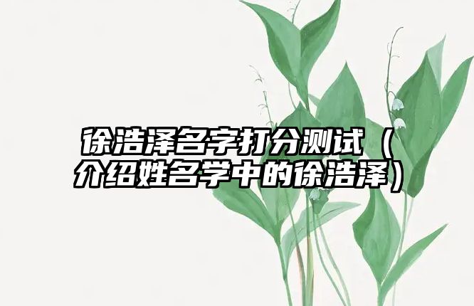 徐浩泽名字打分测试（介绍姓名学中的徐浩泽）