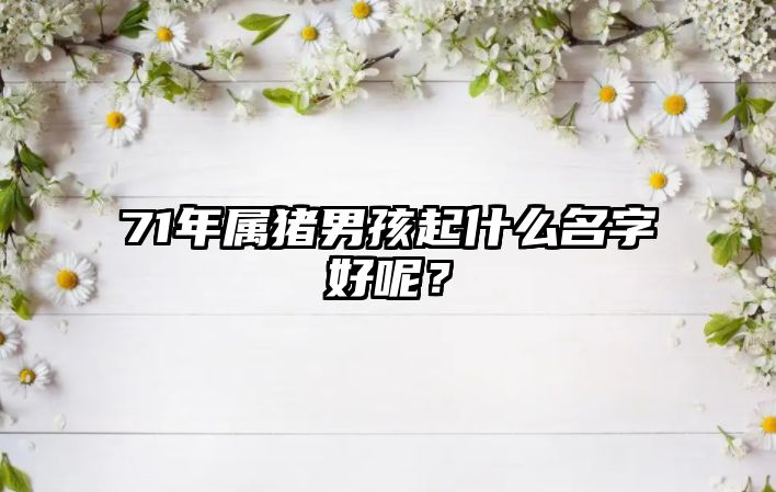 71年属猪男孩起什么名字好呢？