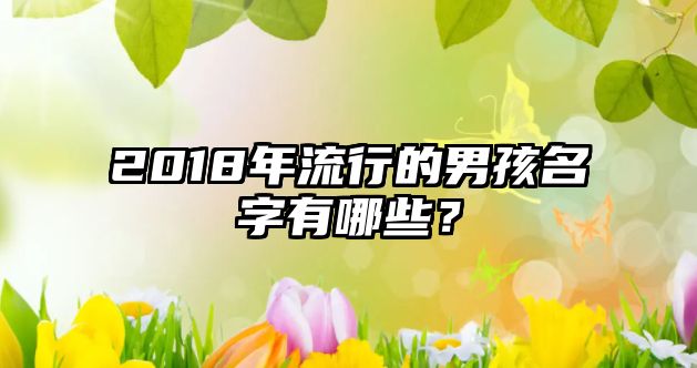 2018年流行的男孩名字有哪些？