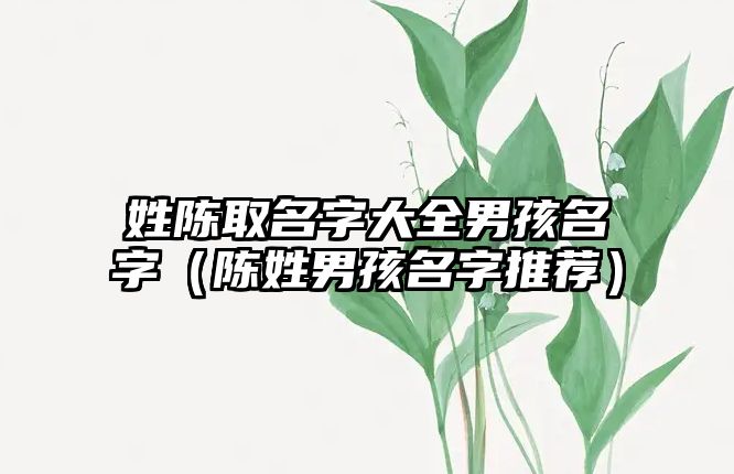 姓陈取名字大全男孩名字（陈姓男孩名字推荐）