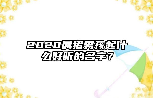 2020属猪男孩起什么好听的名字？