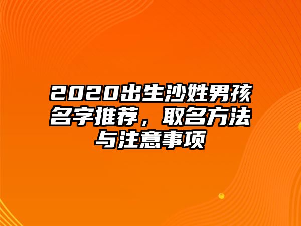 2020出生沙姓男孩名字推荐，取名方法与注意事项