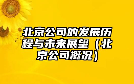 北京公司的发展历程与未来展望（北京公司概况）