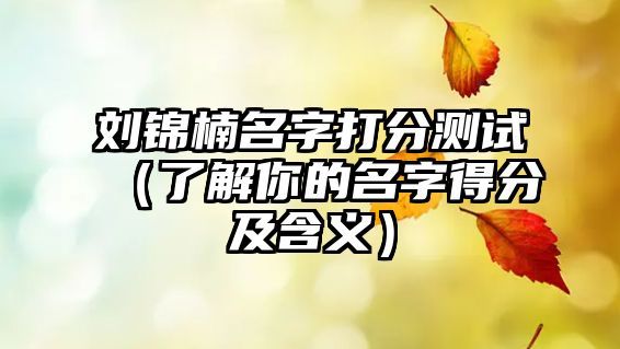 刘锦楠名字打分测试（了解你的名字得分及含义）