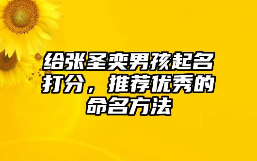 给张圣奕男孩起名打分，推荐优秀的命名方法