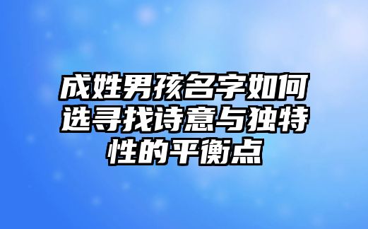 成姓男孩名字如何选寻找诗意与独特性的平衡点