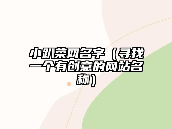 小趴菜网名字（寻找一个有创意的网站名称）