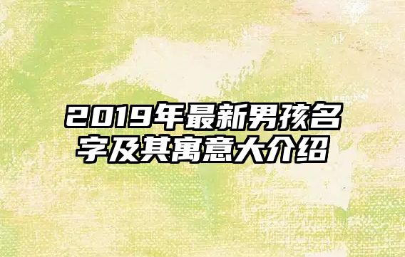 2019年最新男孩名字及其寓意大介绍