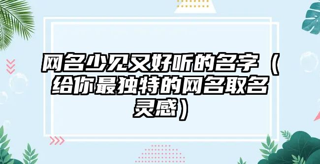 网名少见又好听的名字（给你最独特的网名取名灵感）