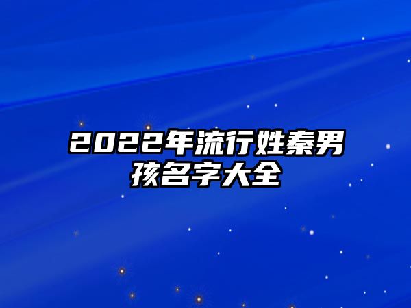 2022年流行姓秦男孩名字大全