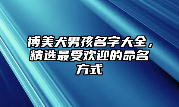 博美犬男孩名字大全，精选最受欢迎的命名方式