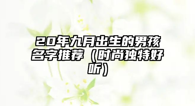 20年九月出生的男孩名字推荐（时尚独特好听）