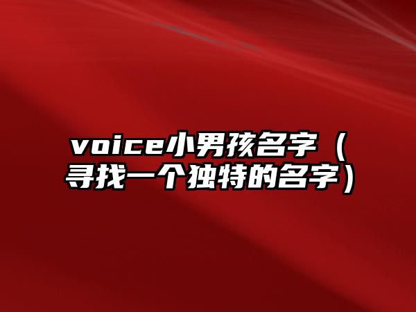 voice小男孩名字（寻找一个独特的名字）