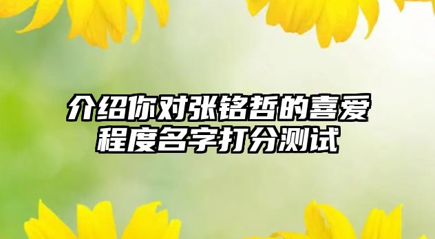 介绍你对张铭哲的喜爱程度名字打分测试