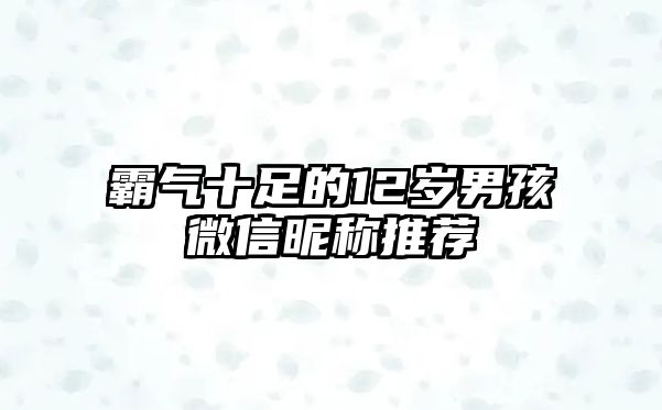 霸气十足的12岁男孩微信昵称推荐