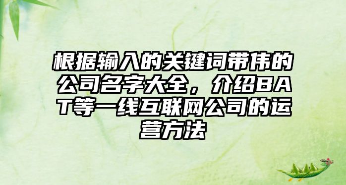 根据输入的关键词带伟的公司名字大全，介绍BAT等一线互联网公司的运营方法