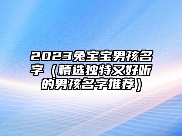 2023兔宝宝男孩名字（精选独特又好听的男孩名字推荐）