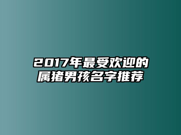 2017年最受欢迎的属猪男孩名字推荐